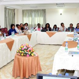 Roundtable on Strengthening Federal Governance and Pluralism in Ethiopia