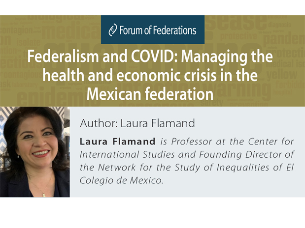 Poster for Federalism and COVID: Managing the health and economic crisis in the Mexican federation