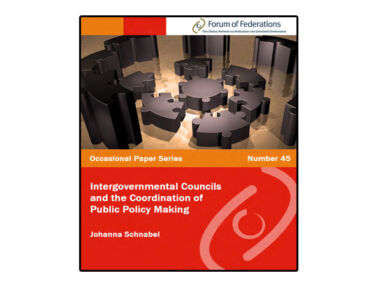 Cover of Intergovernmental Councils and the Coordination of Public Policy Making